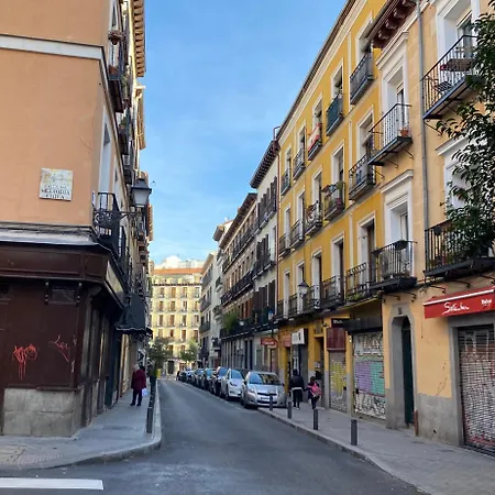 For You Rentals Apartment Temporal Madrid Paloma-La Latina Pal41-3